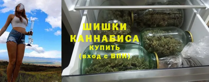 МАРИХУАНА SATIVA & INDICA  Нестеров 